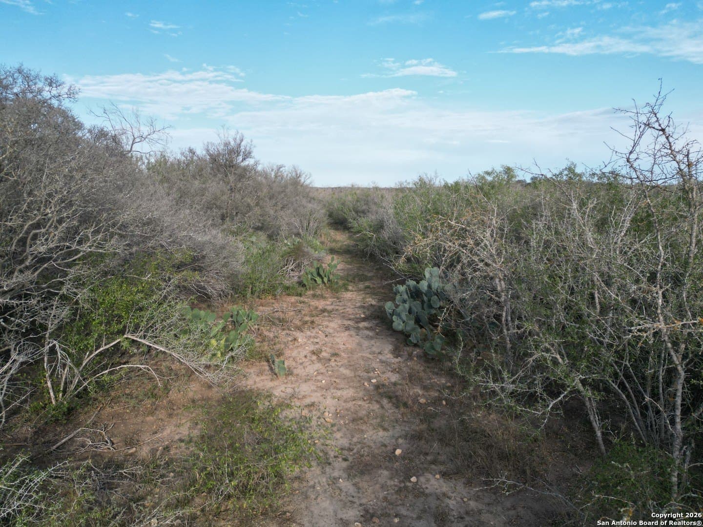 3.42 acres in Bexar County - photo 6