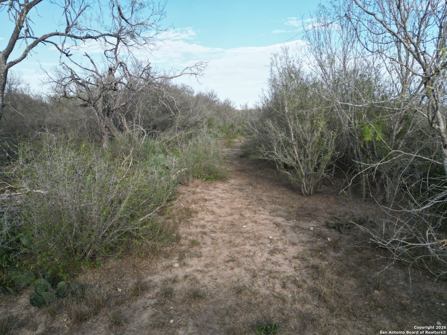 3.42 acres in Bexar County - photo 4