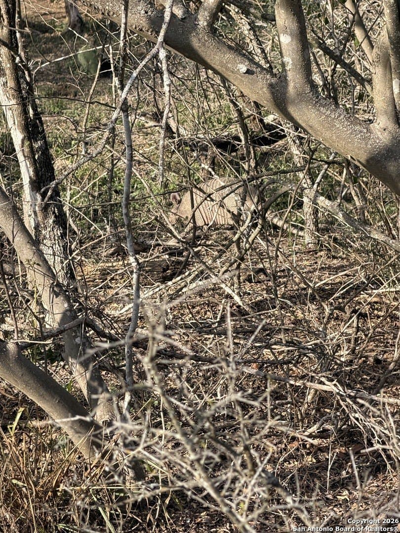 3.42 acres in Bexar County - photo 15