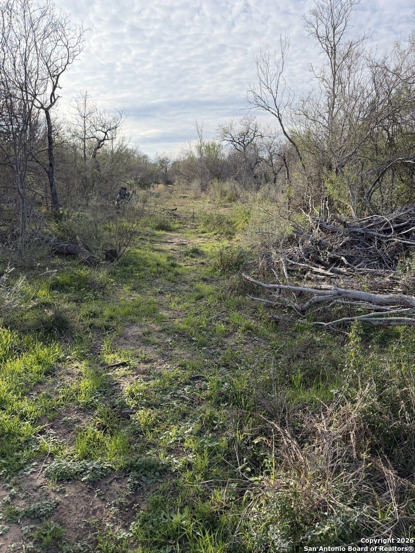 3.42 acres in Bexar County - photo 16