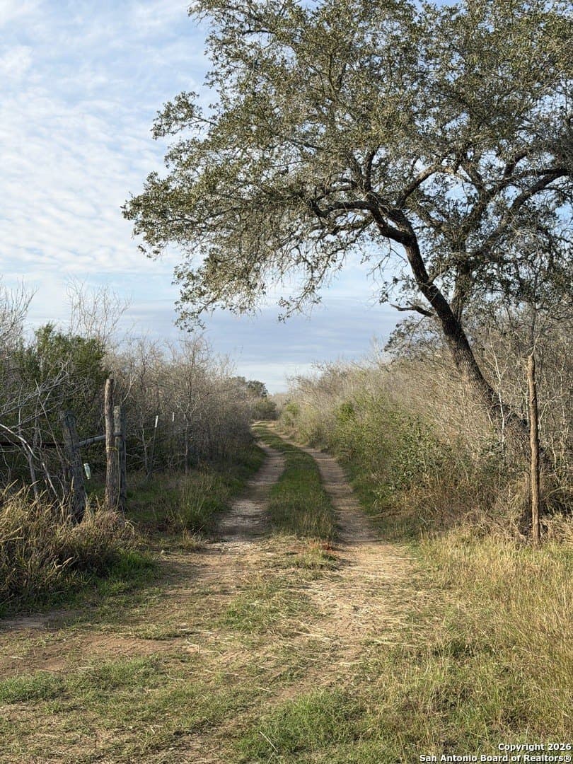 3.42 acres in Bexar County - photo 3