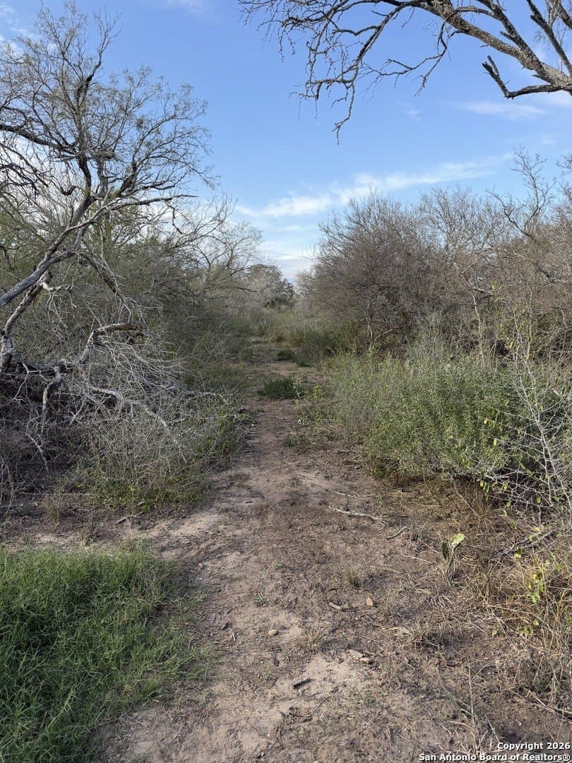 3.42 acres in Bexar County - photo 8