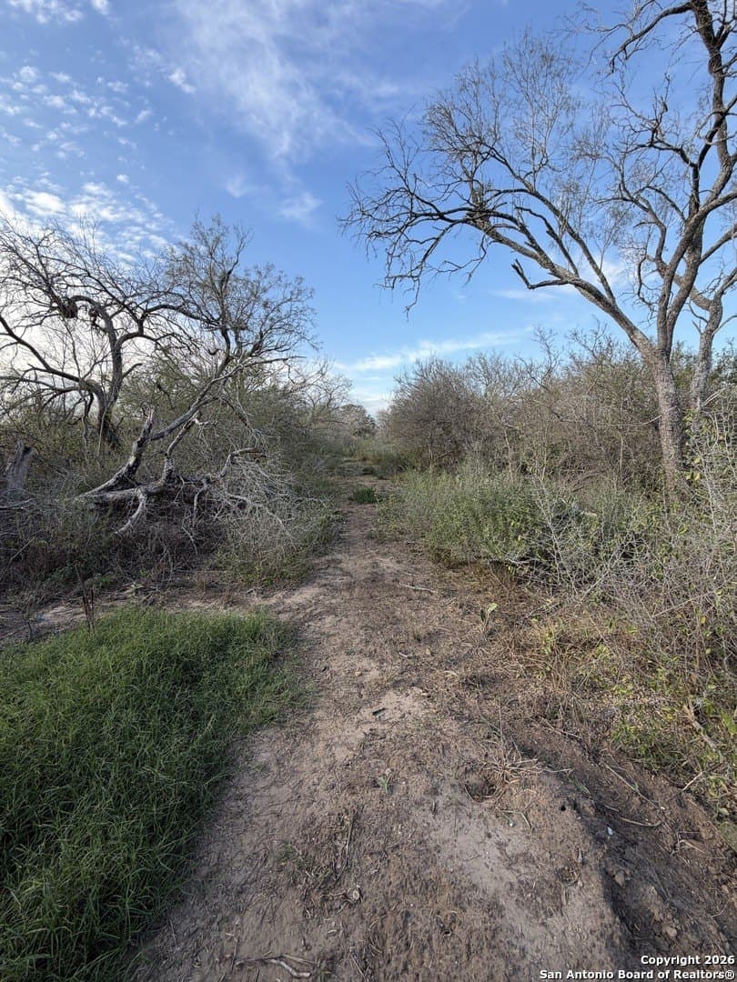 3.42 acres in Bexar County - photo 7