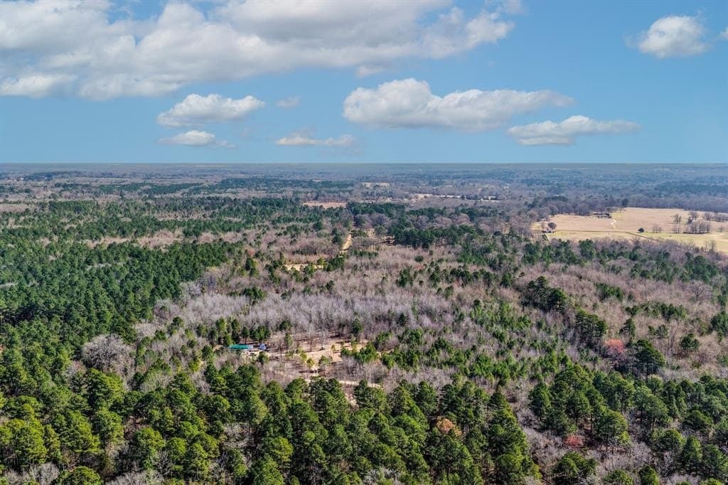 18.19 acres in Upshur County gallery image 4