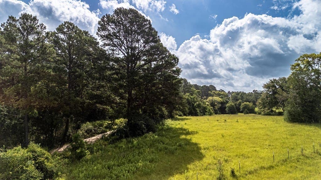 42.5 acres in Texas County - photo 27
