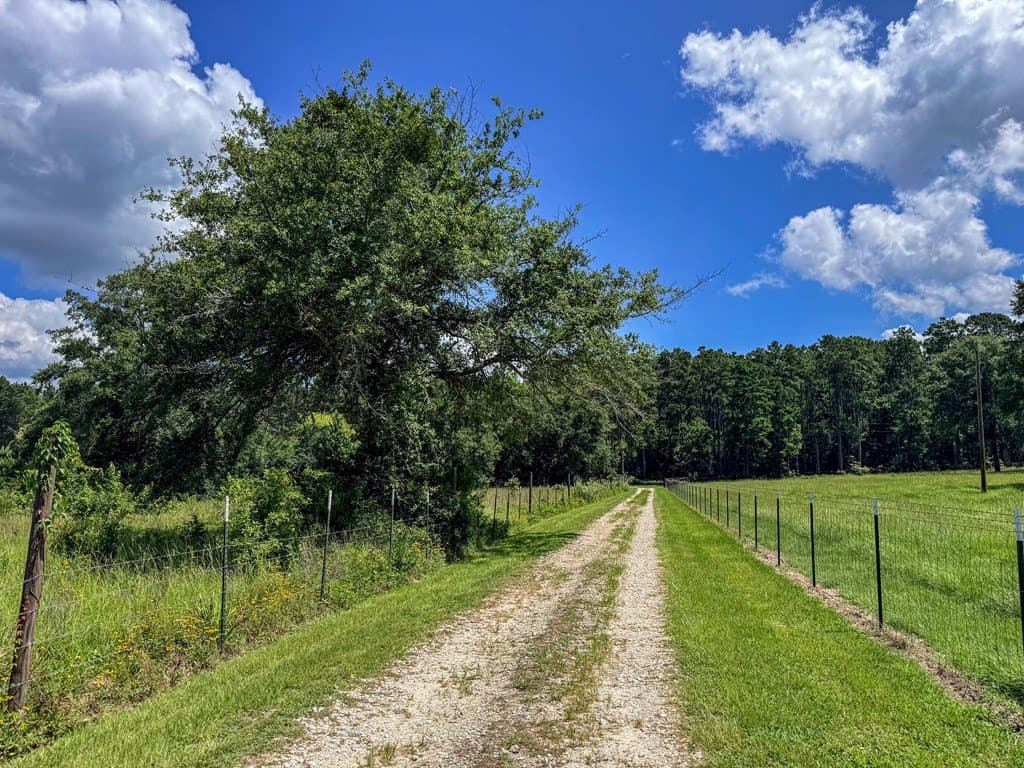 42.5 acres in Texas County - photo 92