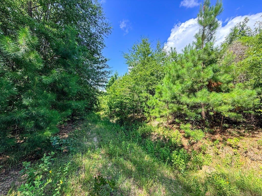 42.5 acres in Texas County - photo 75