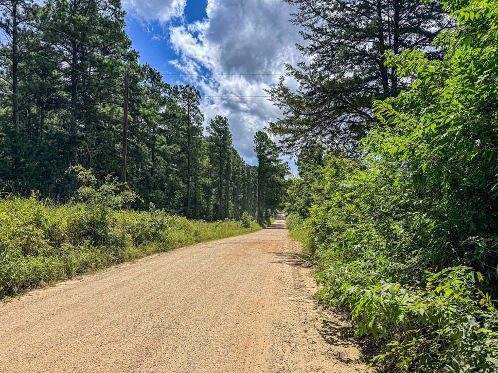 42.5 acres in Texas County - photo 93