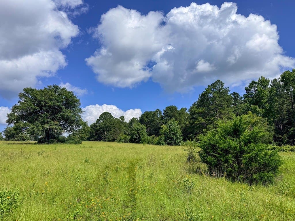 42.5 acres in Texas County - photo 53