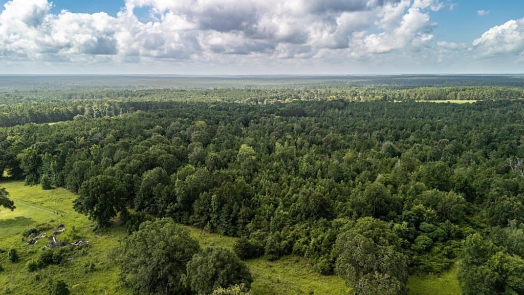 42.5 acres in Texas County - photo 37