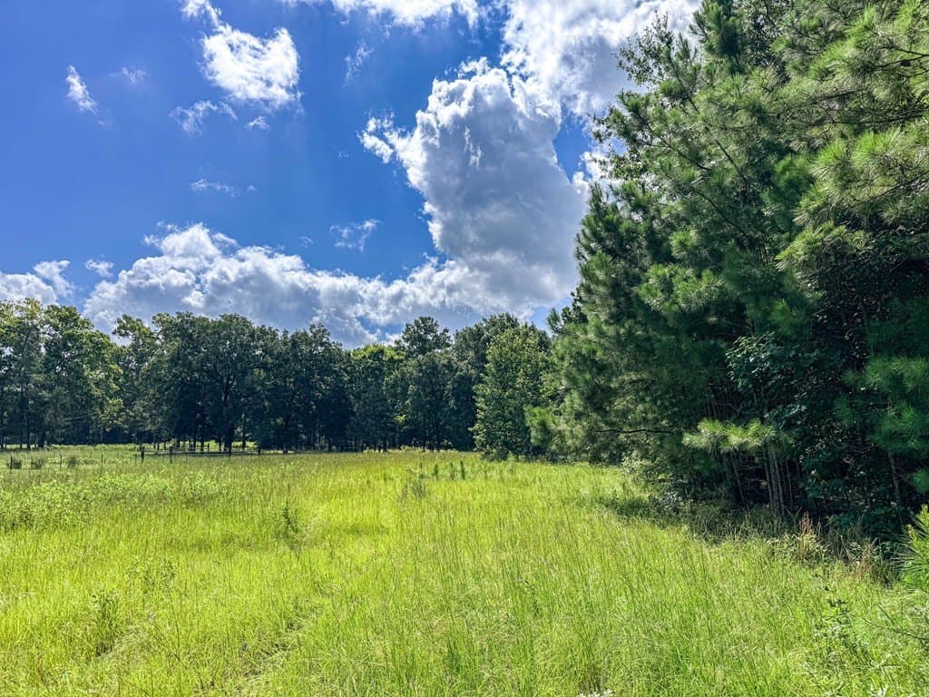 42.5 acres in Texas County - photo 65