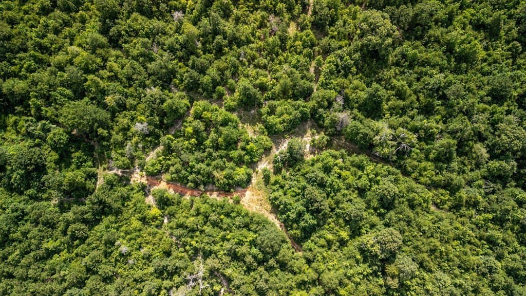 42.5 acres in Texas County - photo 33