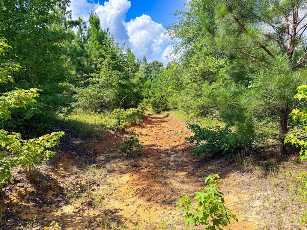 42.5 acres in Texas County - photo 72