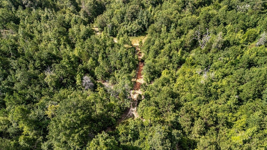 42.5 acres in Texas County - photo 31