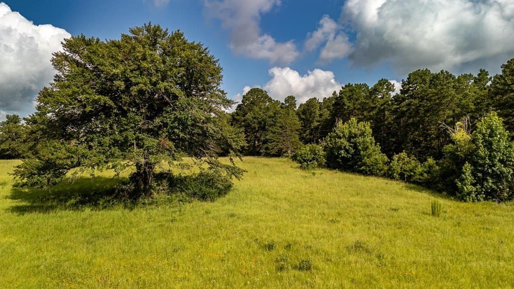 42.5 acres in Texas County - photo 20