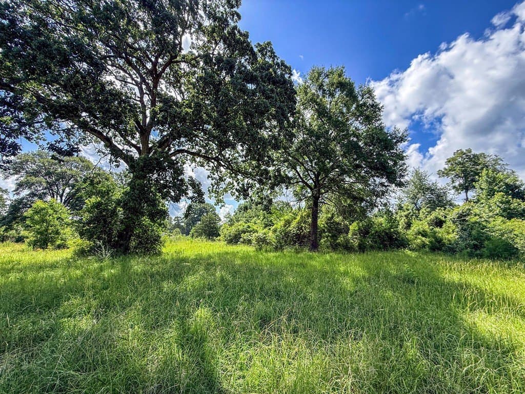 42.5 acres in Texas County - photo 67