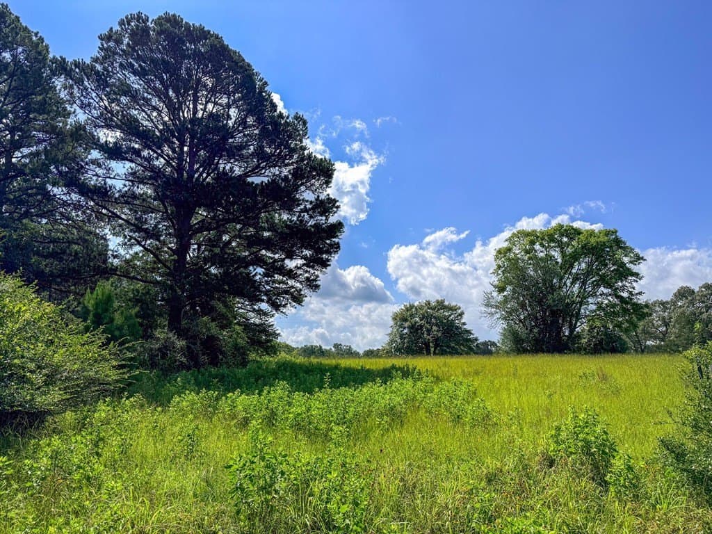 42.5 acres in Texas County - photo 42
