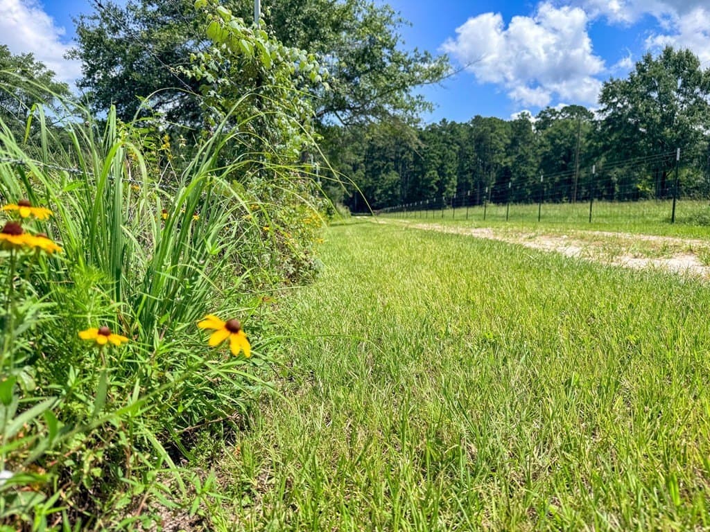 42.5 acres in Texas County - photo 90