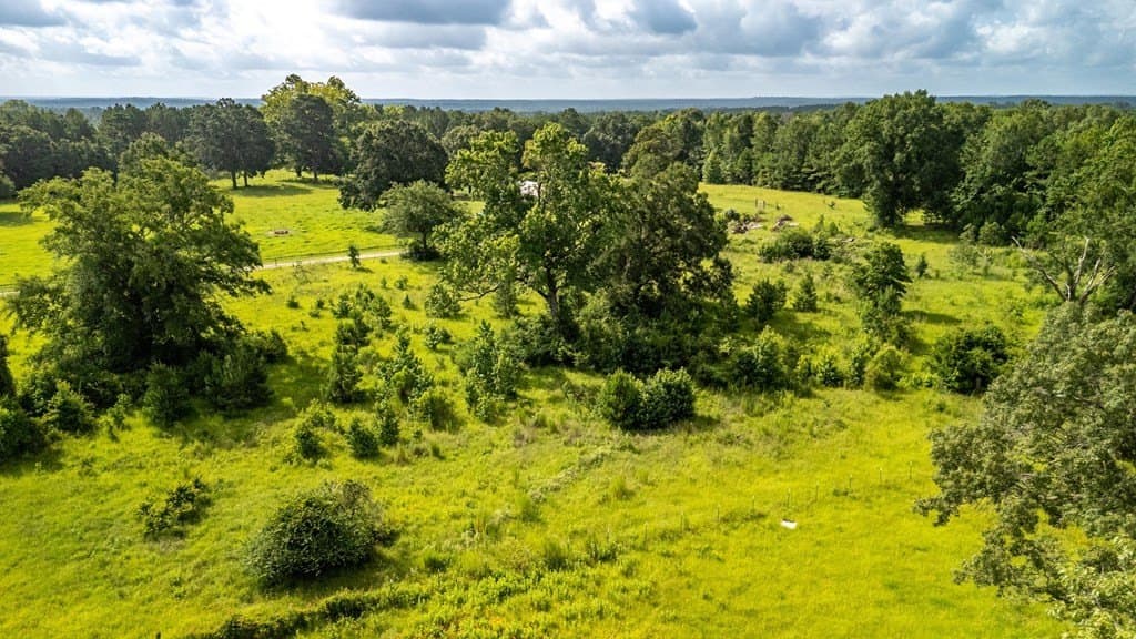 42.5 acres in Texas County - photo 25