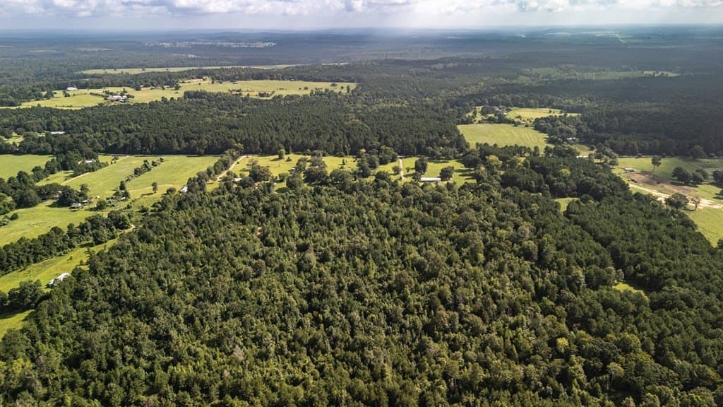 42.5 acres in Texas County - photo 10