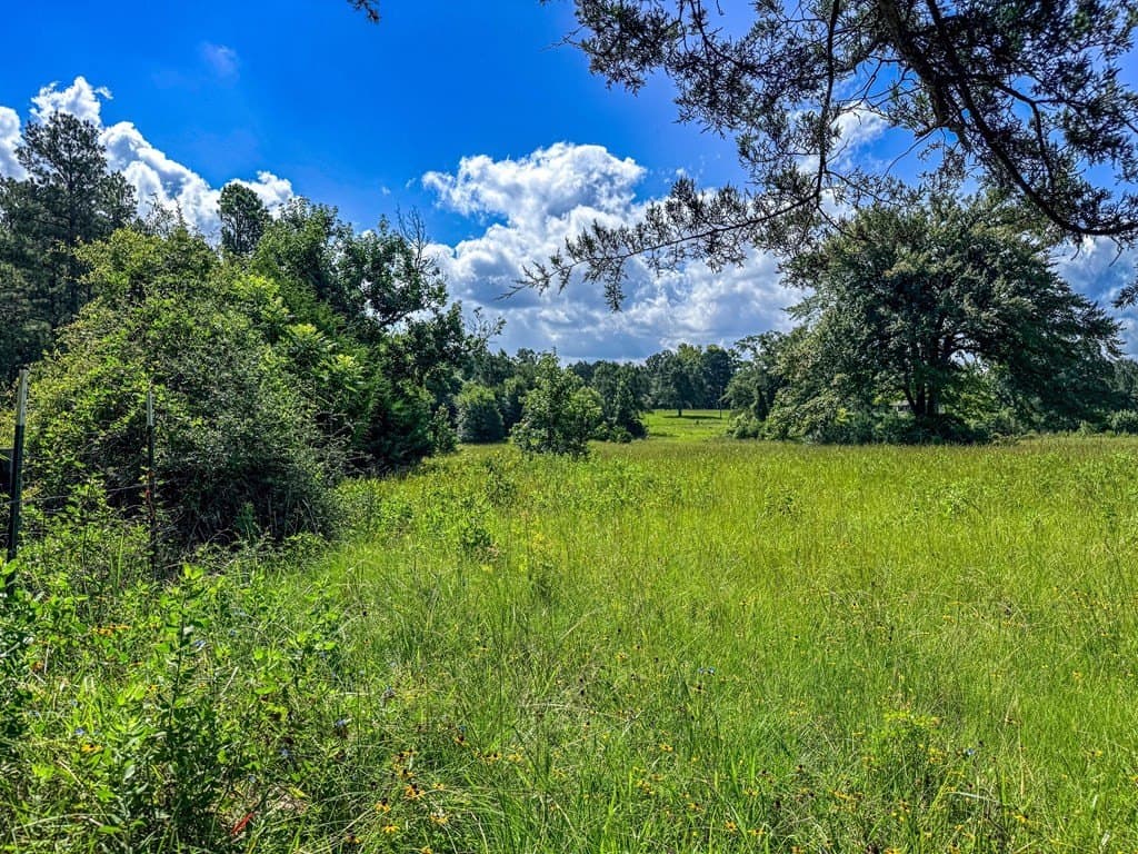 42.5 acres in Texas County - photo 49