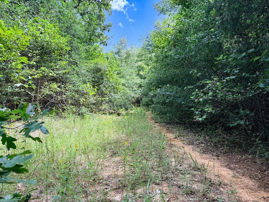 42.5 acres in Texas County - photo 82