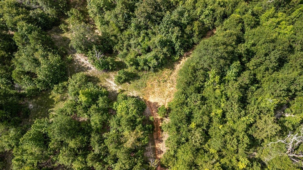 42.5 acres in Texas County - photo 32