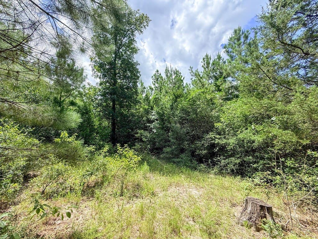 42.5 acres in Texas County - photo 80
