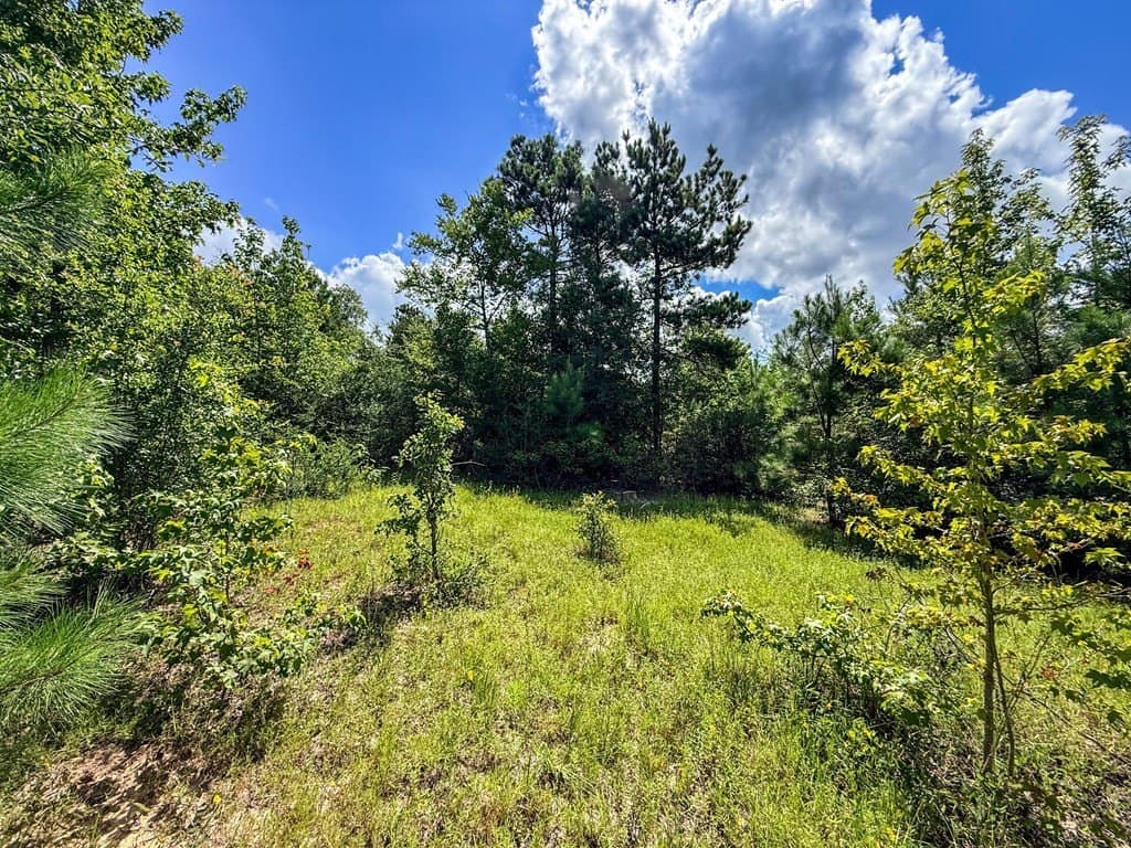 42.5 acres in Texas County - photo 74