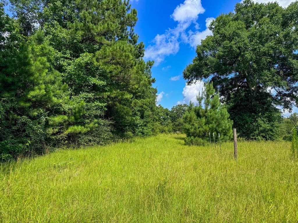 42.5 acres in Texas County - photo 63