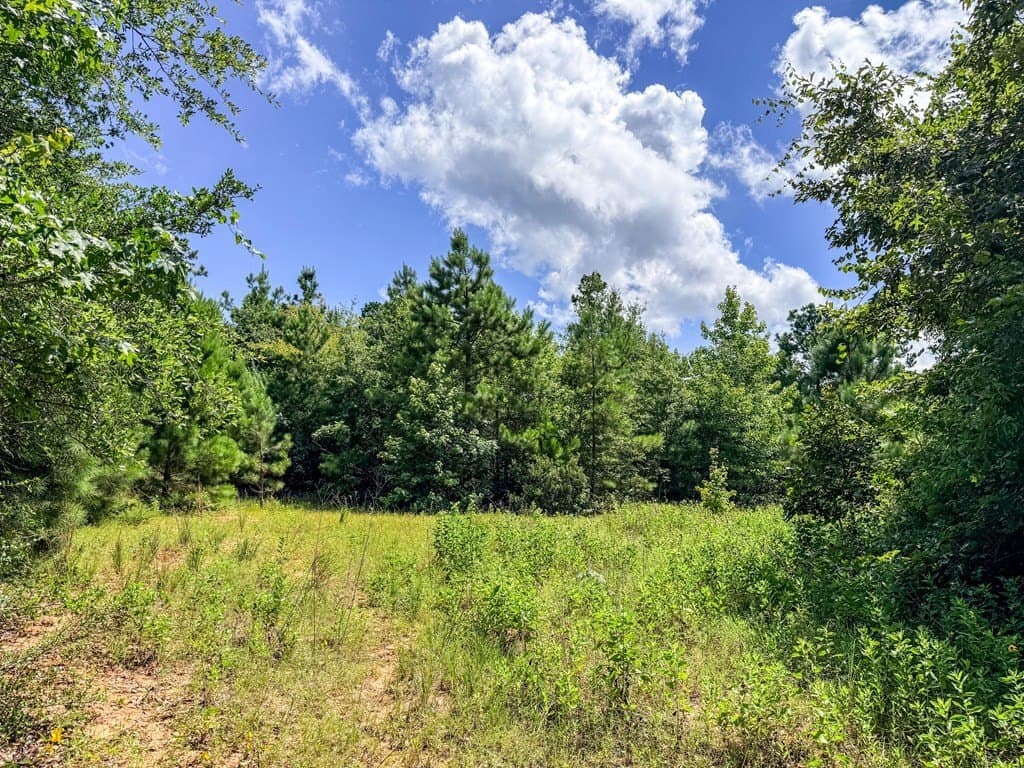 42.5 acres in Texas County - photo 84