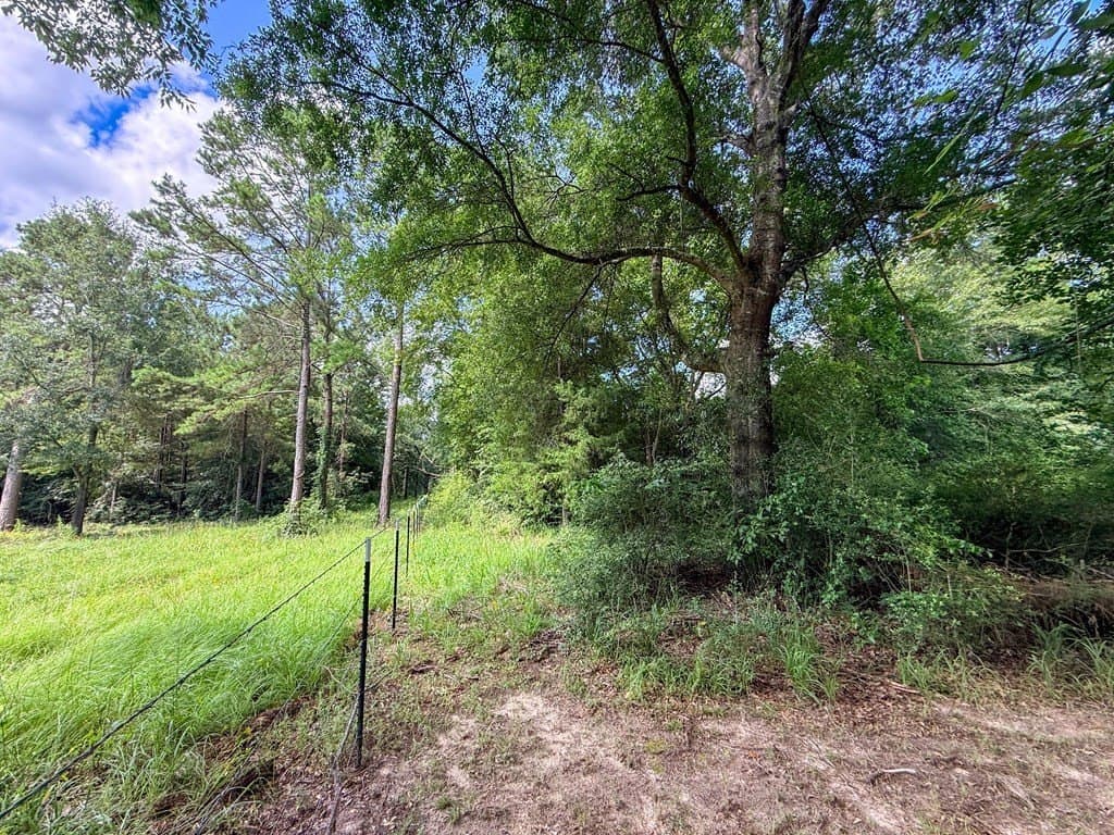 42.5 acres in Texas County - photo 60