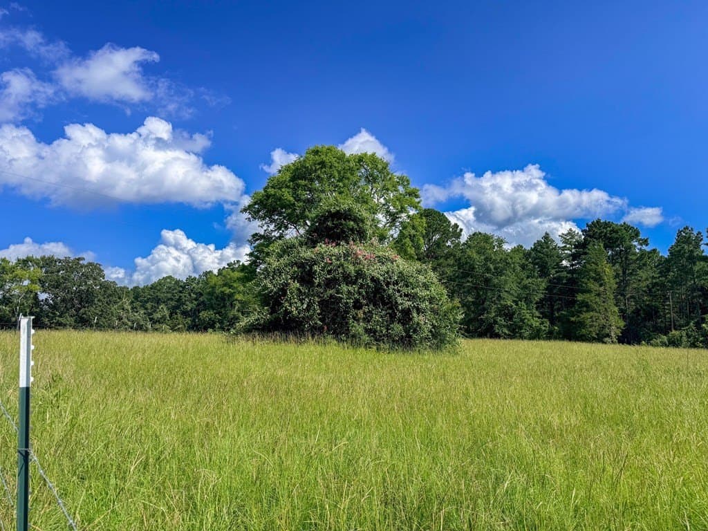 42.5 acres in Texas County - photo 45