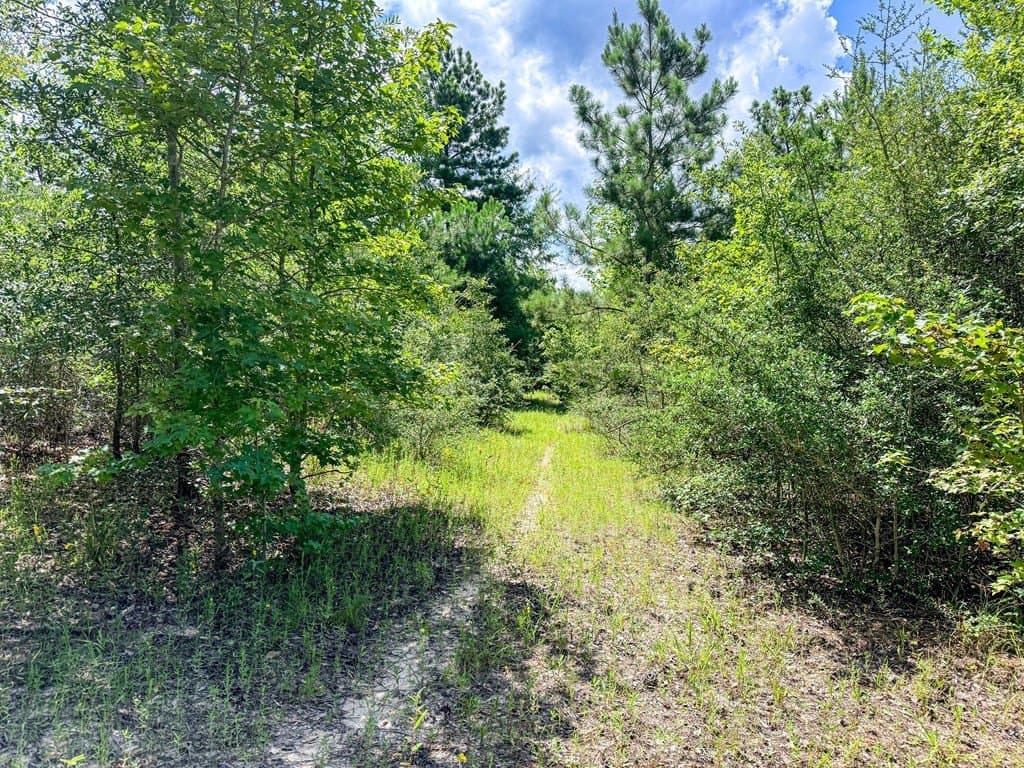 42.5 acres in Texas County - photo 71