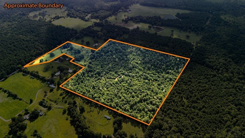 42.5 acres in Texas County gallery image 4