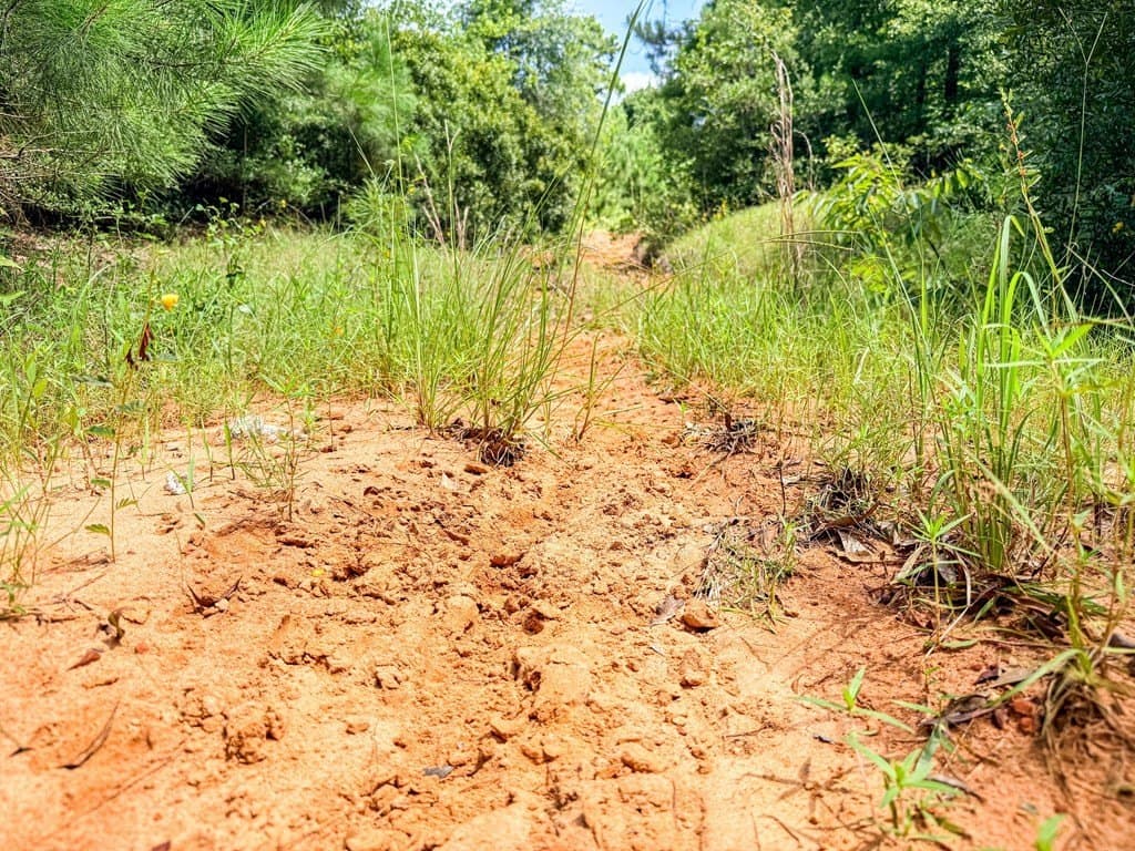 42.5 acres in Texas County - photo 86