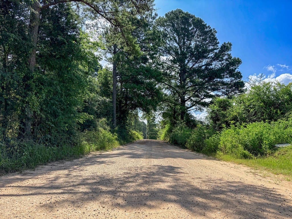 42.5 acres in Texas County - photo 43