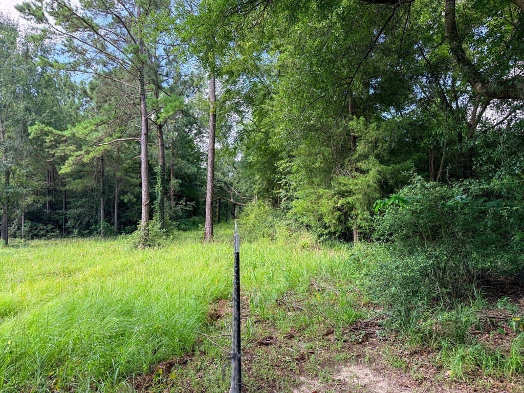 42.5 acres in Texas County - photo 61
