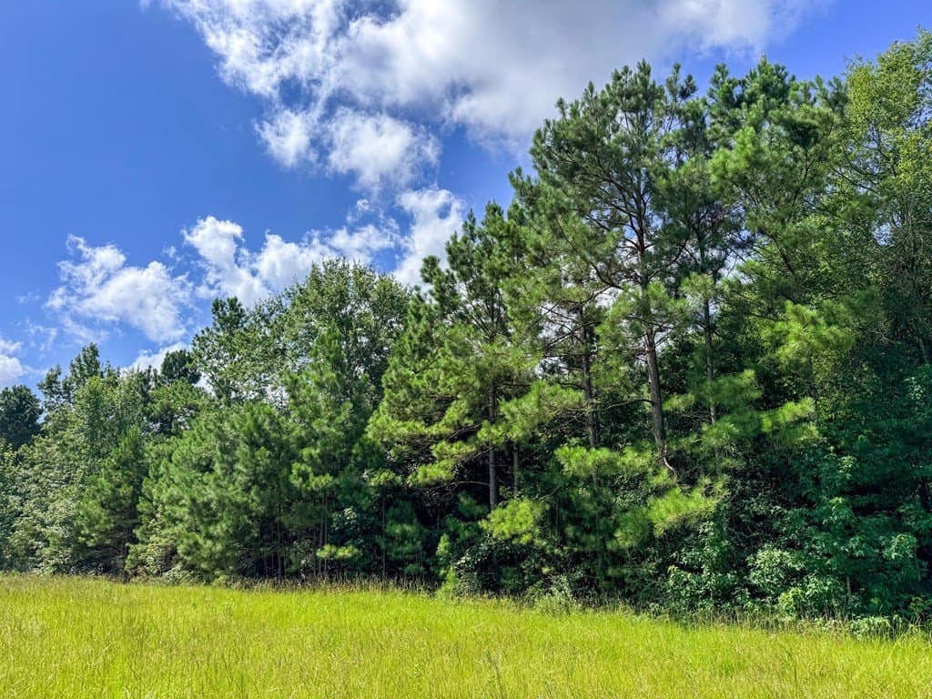 42.5 acres in Texas County - photo 59