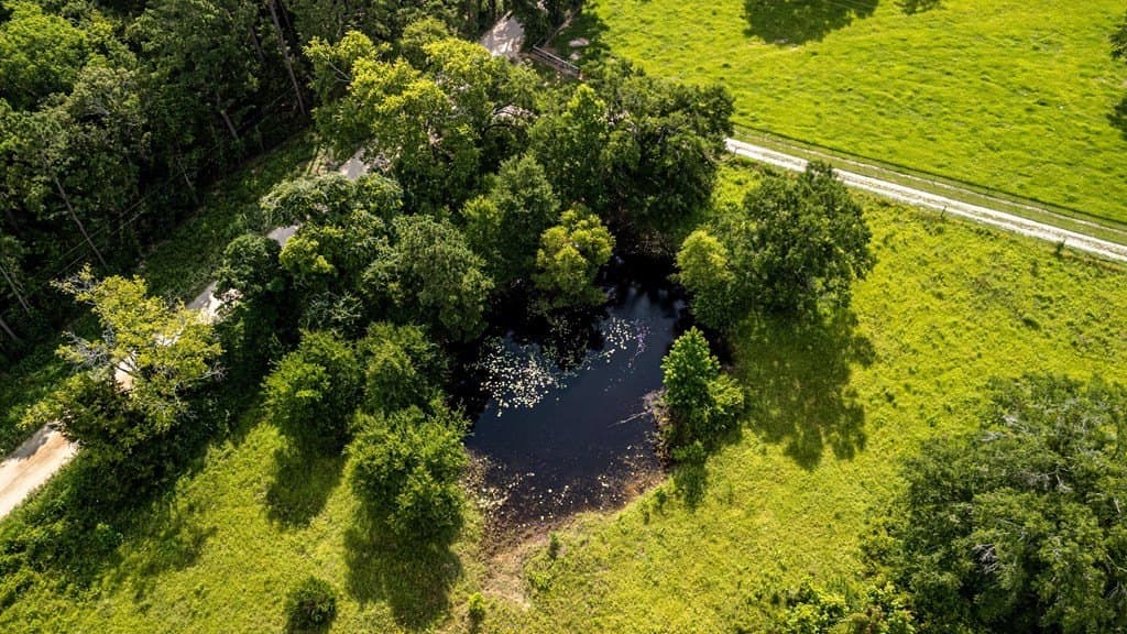 42.5 acres in Texas County - photo 18