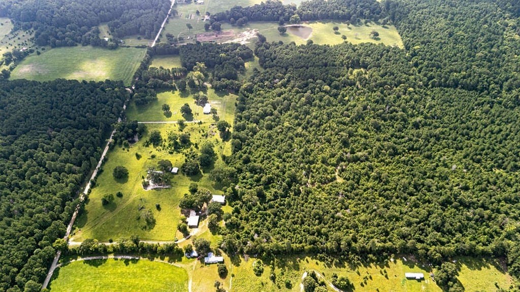 42.5 acres in Texas County - photo 12