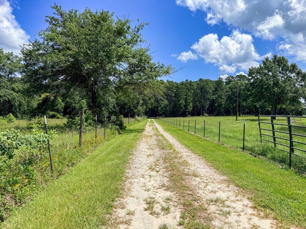 42.5 acres in Texas County - photo 89