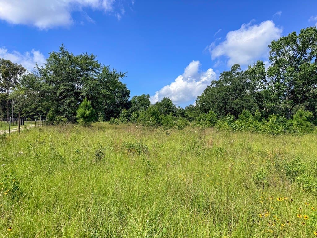 42.5 acres in Texas County - photo 54