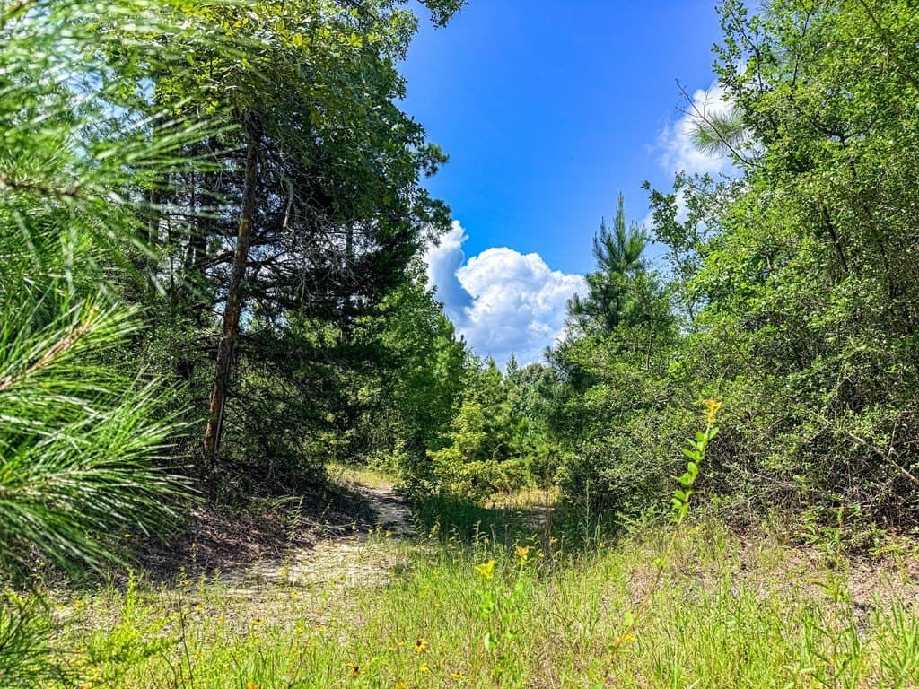 42.5 acres in Texas County - photo 70
