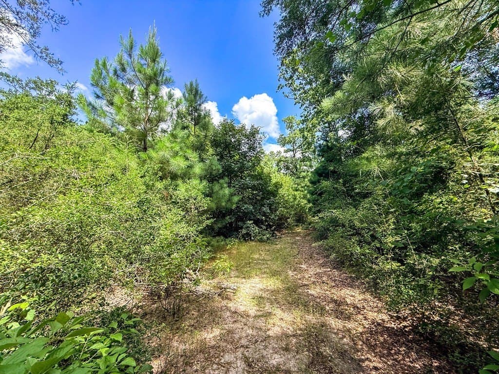 42.5 acres in Texas County - photo 81