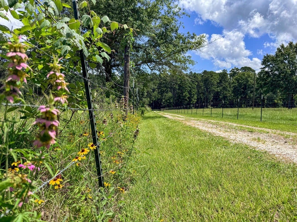 42.5 acres in Texas County - photo 91