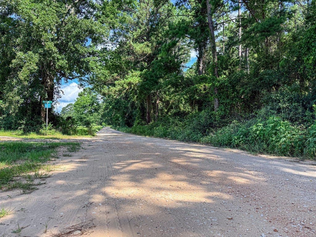 42.5 acres in Texas County - photo 44