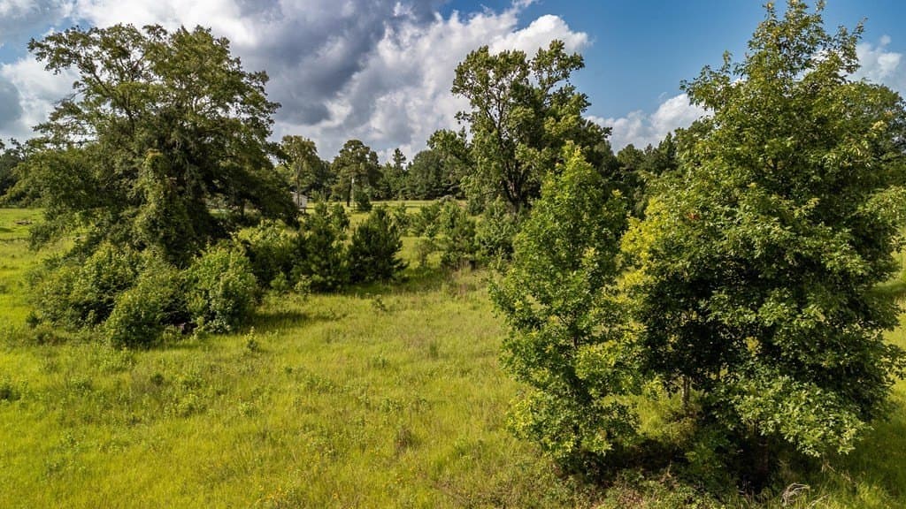 42.5 acres in Texas County - photo 21