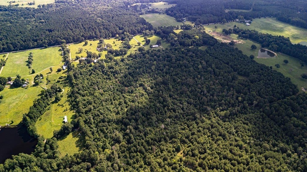42.5 acres in Texas County - photo 11