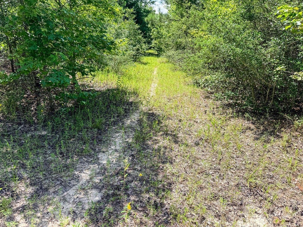 42.5 acres in Texas County - photo 73
